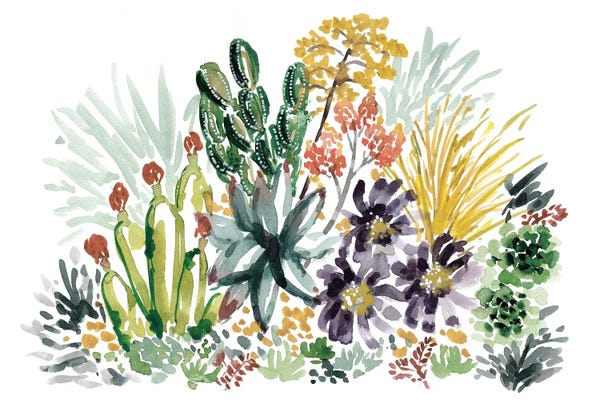 Succulents: Desert II by Sara Berrenson
