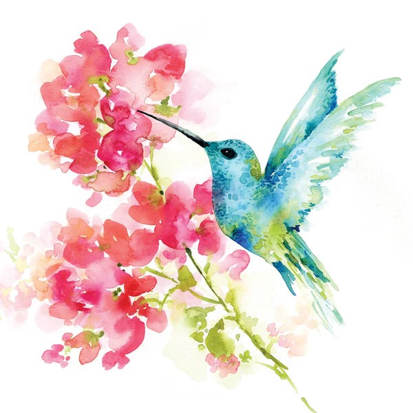 Hummingbirds: Hummingbird by Sara Berrenson