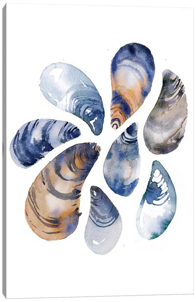 Indigo Mussels Canvas Art Print - Sara Berrenson