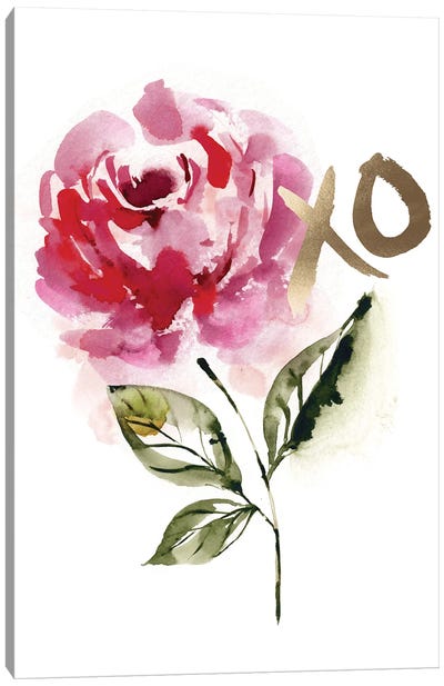La Vie En Rose Canvas Art Print - Sara Berrenson