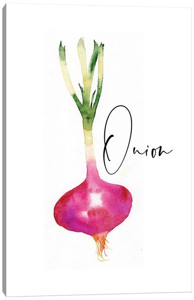 Loose Veggies Onion Canvas Art Print - Sara Berrenson
