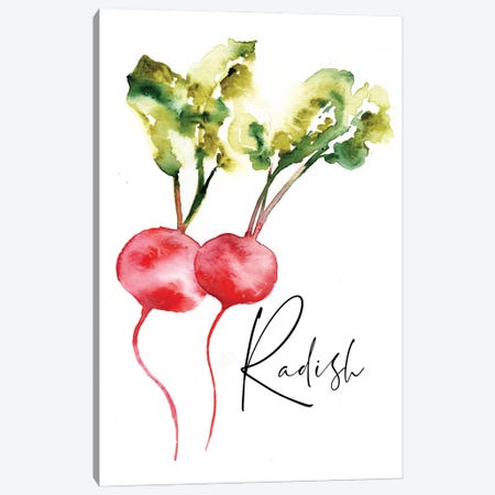Loose Veggies Radish Canvas Print #SBE94} by Sara Berrenson Canvas Print