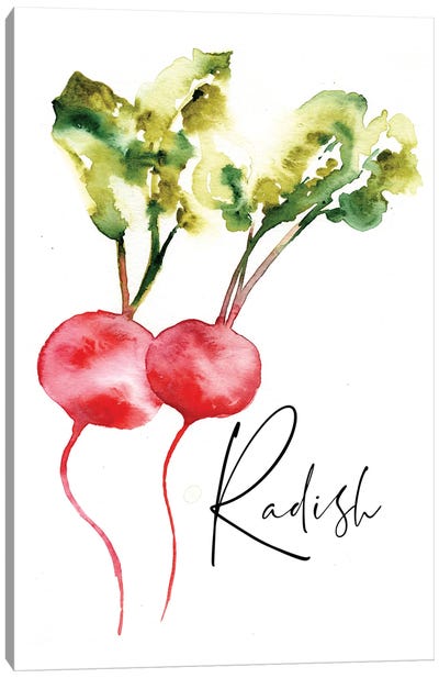 Loose Veggies Radish Canvas Art Print - Sara Berrenson