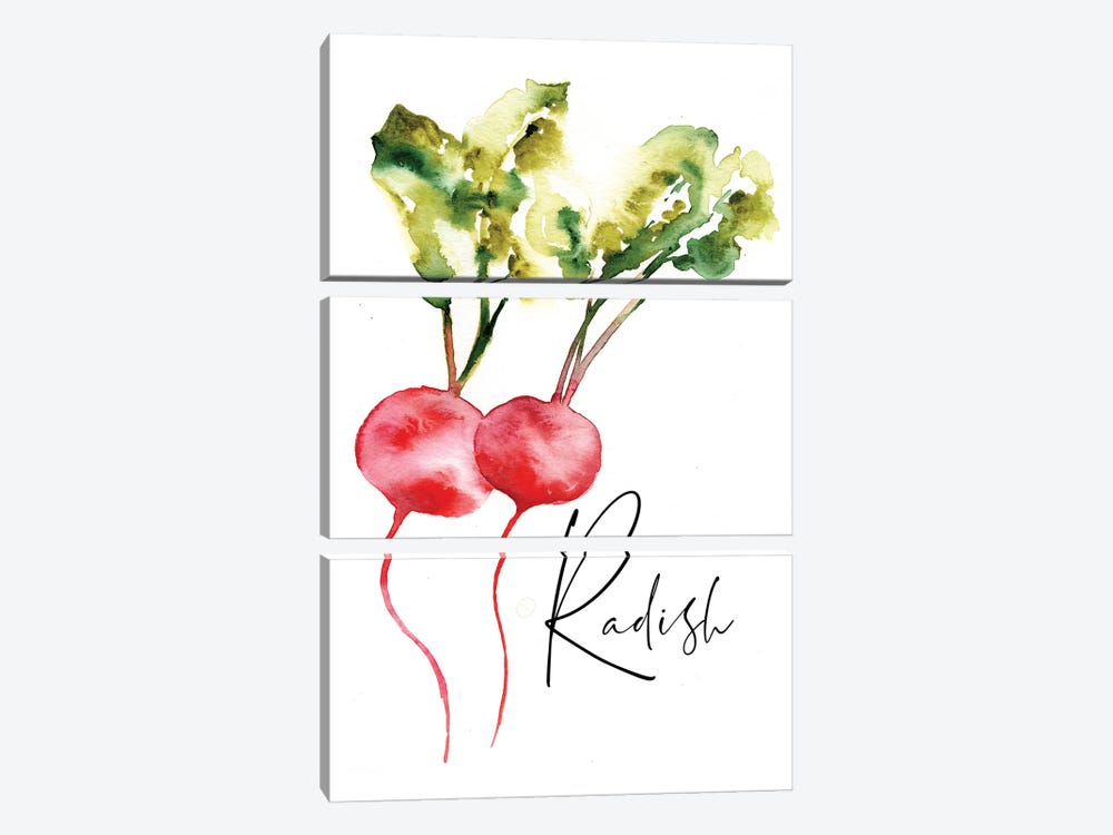 Loose Veggies Radish by Sara Berrenson 3-piece Art Print