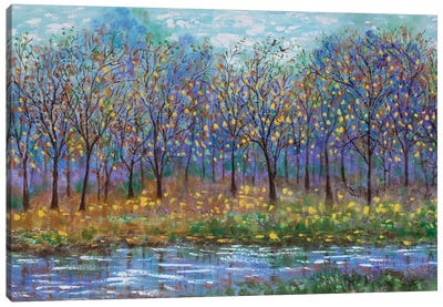 Autumn Trees, Love Birds And Stream Canvas Art Print - Nature Lover
