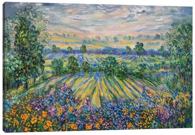 California Rolling Hills And Wildflowers Canvas Art Print - Artists Like Monet