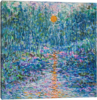 Reflection On Sunset Stream Canvas Art Print - Water Lilies Collection