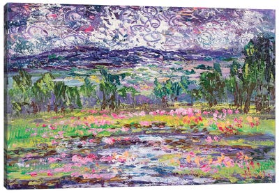 California Yosemite Spring Stream And Wildflowers Canvas Art Print