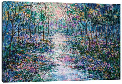 Sunset Stream And Wildflowers Canvas Art Print