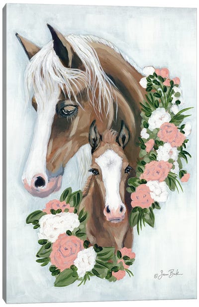 Floral Ponies Canvas Art Print