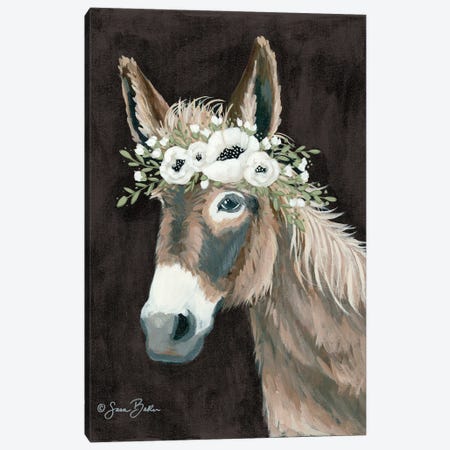Donkey    Canvas Print #SBK25} by Sara Baker Canvas Art