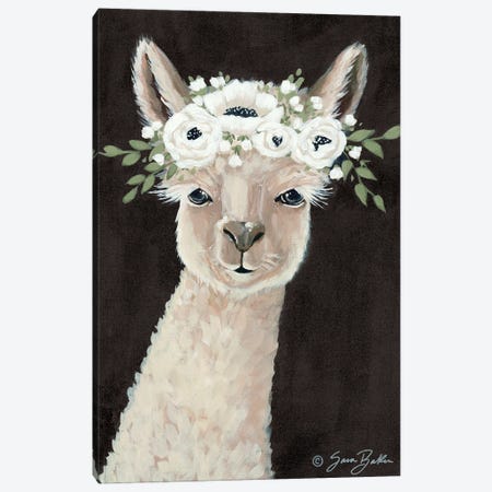 Llama     Canvas Print #SBK26} by Sara Baker Canvas Wall Art