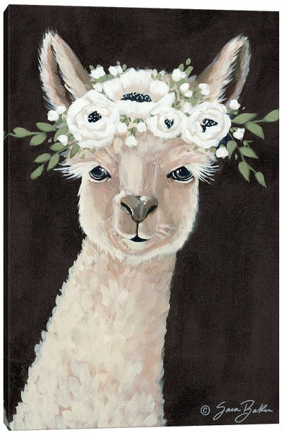 Llama     Canvas Art Print