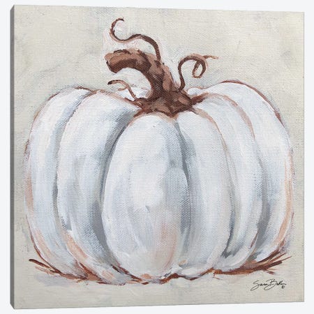 Pumpkin Close Up I Canvas Print #SBK35} by Sara Baker Art Print