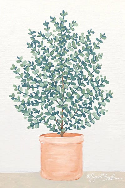 Eucalyptus by Sara Baker art print