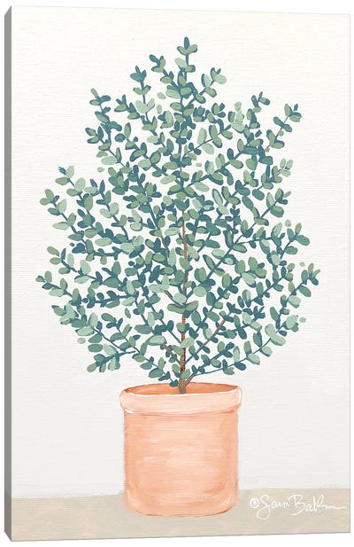 Eucalyptus Canvas Art Print
