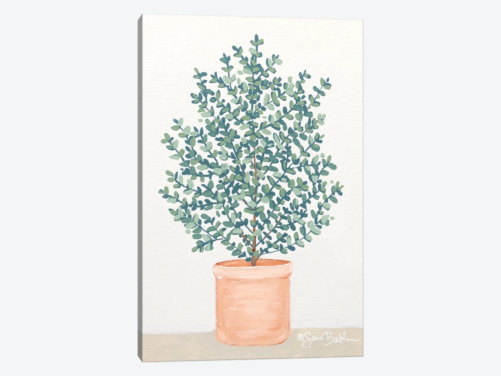 Eucalyptus by Sara Baker 1-piece Canvas Art Print