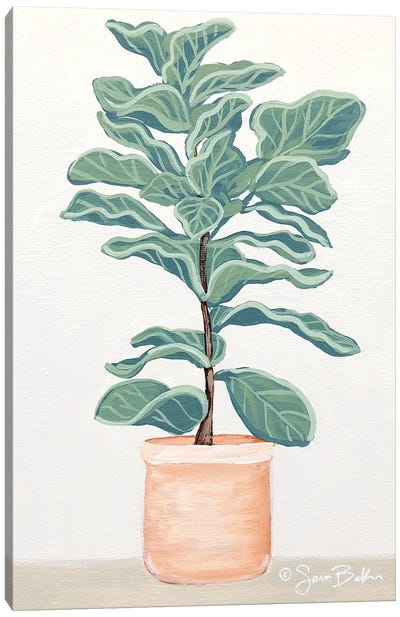 Fiddle Leaf Fig Canvas Art Print