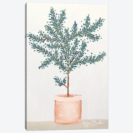 Olive Tree Canvas Print #SBK44} by Sara Baker Canvas Art