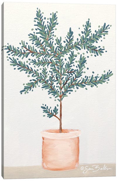 Olive Tree Canvas Art Print