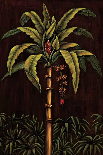 Tropical Paradise Ii Canvas Art By Samuel Blanco Icanvas