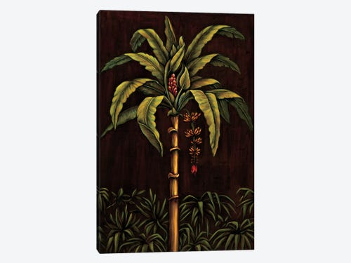 Tropical Paradise Ii Canvas Art By Samuel Blanco Icanvas