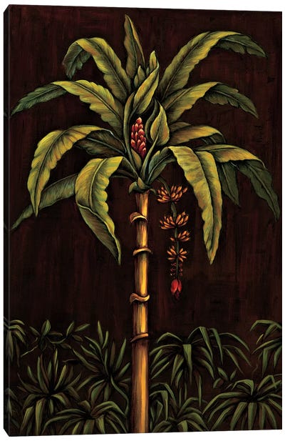 Tropical Paradise II Canvas Art Print