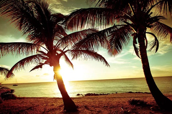 Tropical Beaches: Bimini Sunset by Susan Bryant