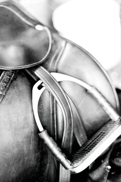 Horseback: Derby II by Susan Bryant