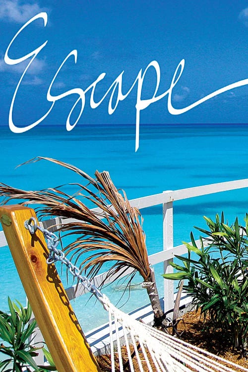 Escape by Susan Bryant wall art