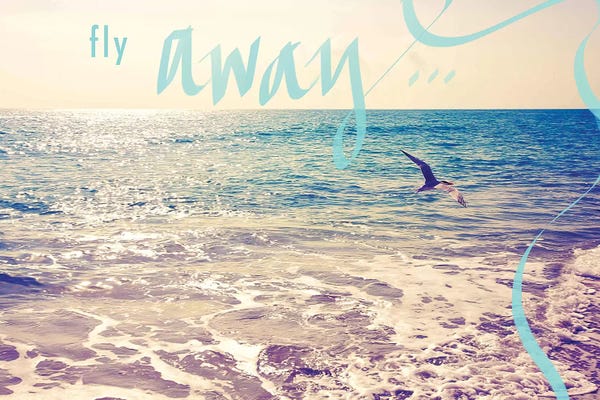 Susan Bryant: Fly Away by Susan Bryant