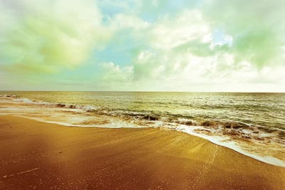 Gold Beach by Susan Bryant framed canvas print