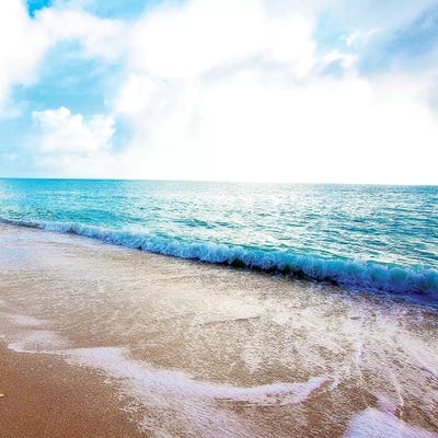 Golden Sands I by Susan Bryant framed canvas print