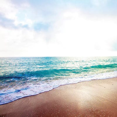 Golden Sands II by Susan Bryant framed canvas print