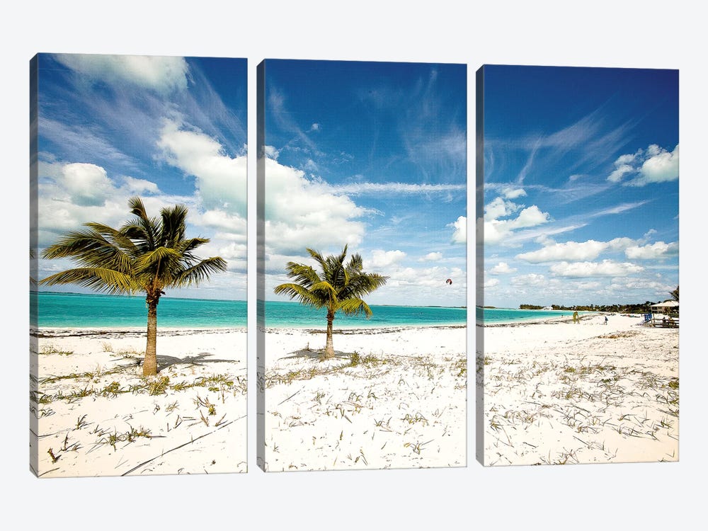 Palms and Kites by Susan Bryant 3-piece Canvas Art
