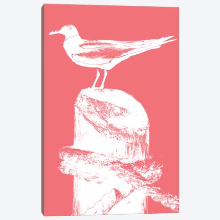 Perching Seabird I Canvas Print #SBT32} by Susan Bryant Canvas Art Print