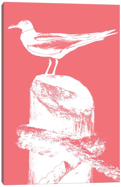 Perching Seabird I Canvas Art Print - Gull & Seagull Art