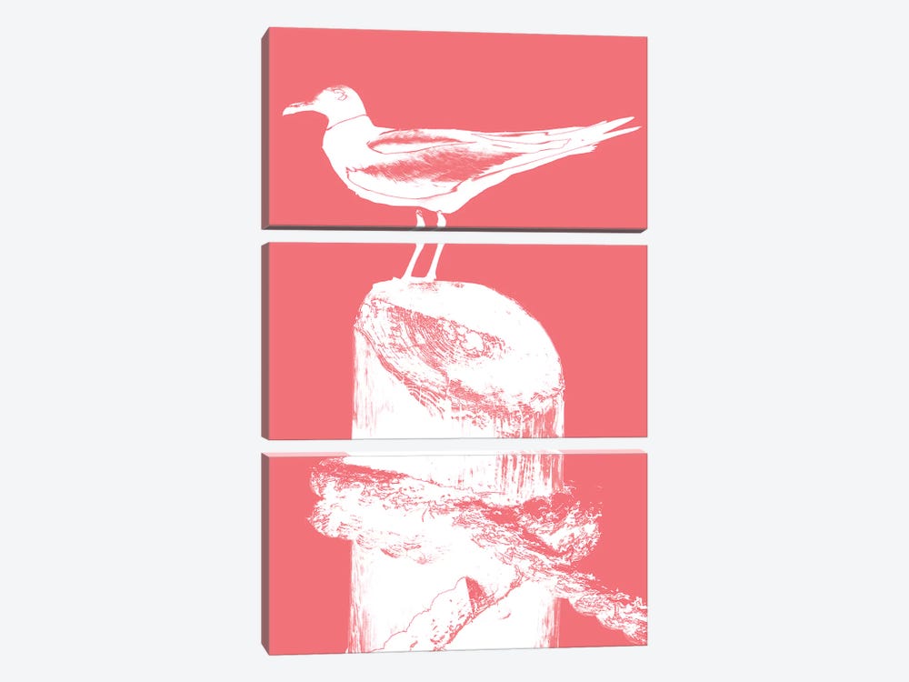 Perching Seabird I by Susan Bryant 3-piece Canvas Art Print