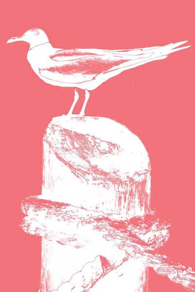 Susan Bryant: Perching Seabird I by Susan Bryant