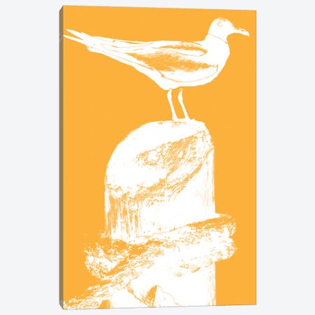 Perching Seabird III Canvas Print #SBT34} by Susan Bryant Canvas Wall Art
