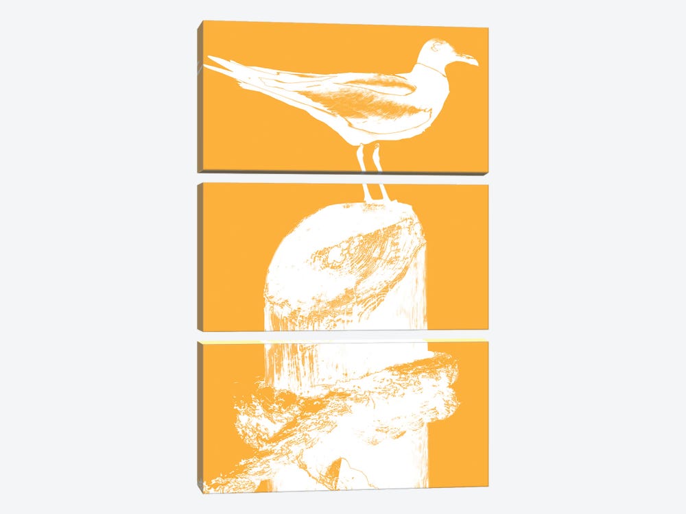 Perching Seabird III by Susan Bryant 3-piece Canvas Art Print