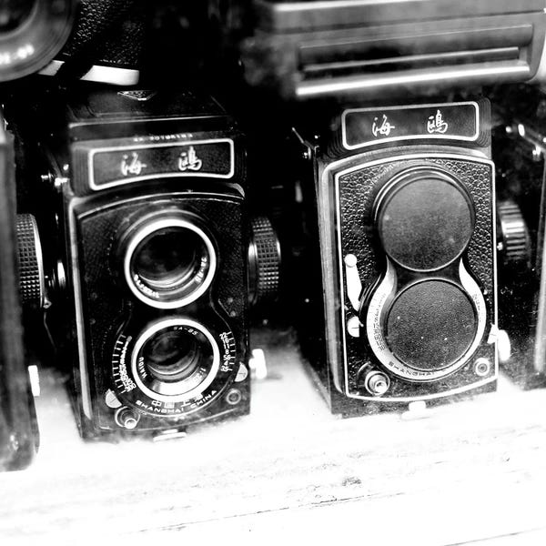 Photography As A Hobby: Rare Finds II by Susan Bryant