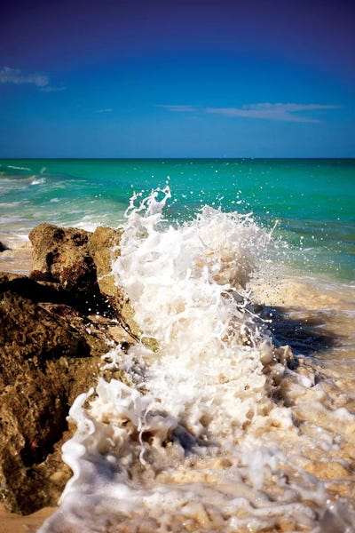 Rocky Beaches: Rising Tide II by Susan Bryant