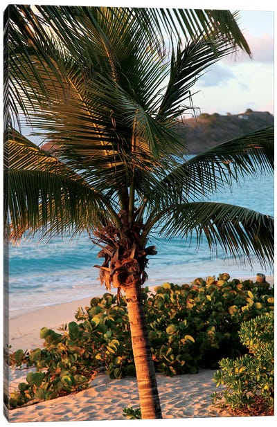 Sunset Palms I Canvas Art Print - Tropical Beach Art