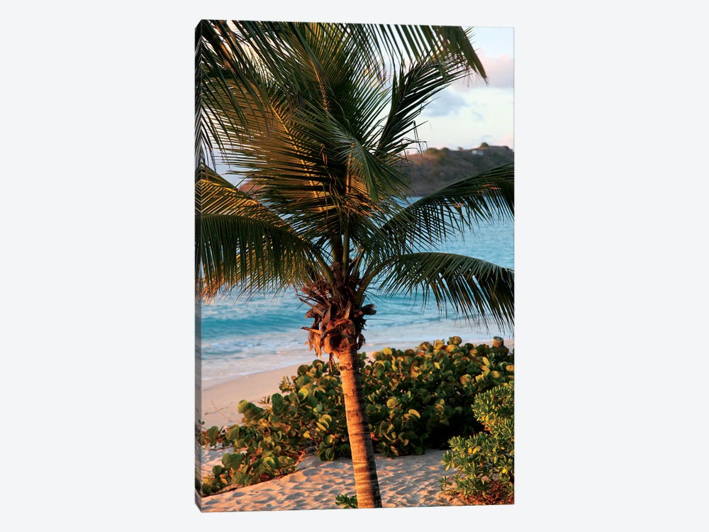 Sunset Palms I by Susan Bryant 1-piece Canvas Wall Art