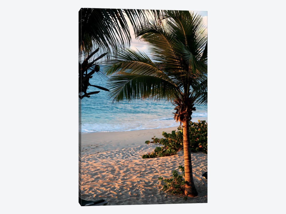 Sunset Palms II by Susan Bryant 1-piece Canvas Print