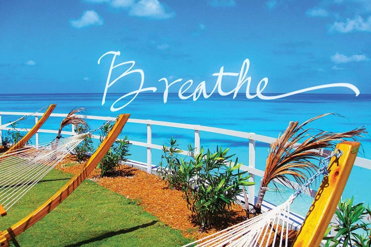 Breathe by Susan Bryant wall art