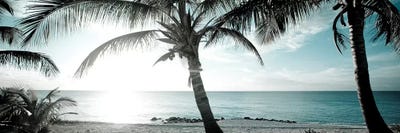 Cool Bimini I by Susan Bryant framed canvas print