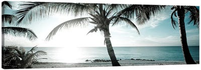 Cool Bimini I Canvas Art Print - Tropical Beach Art