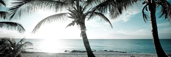 Susan Bryant: Cool Bimini I by Susan Bryant
